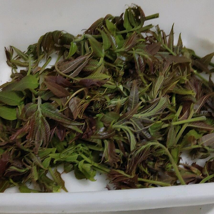 地方菜