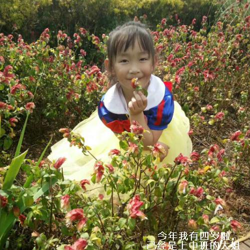 陈馨馨