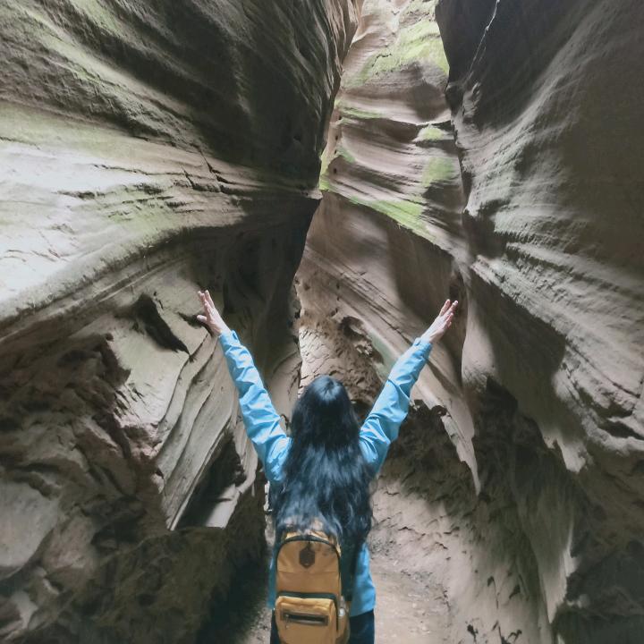 给点阳光就灿烂