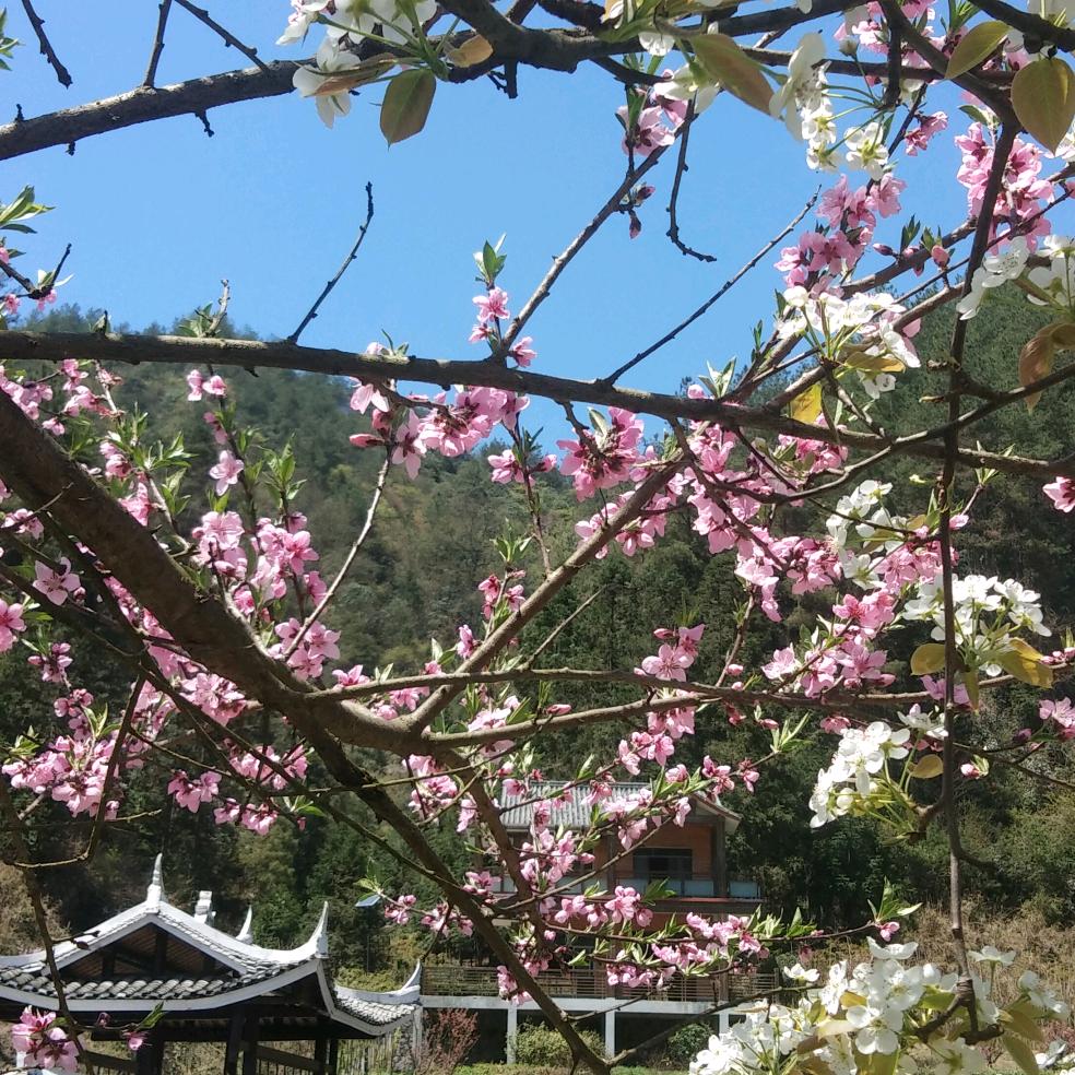 贵D 杨老师