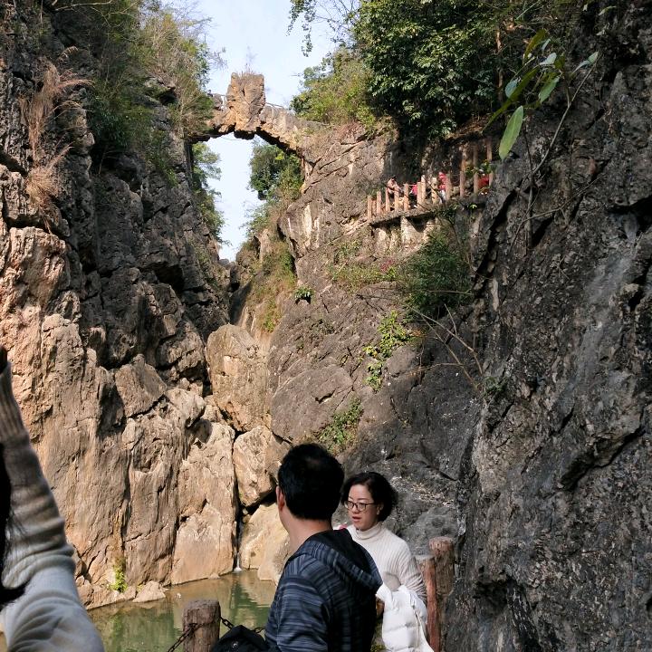 蹦蹦直跳