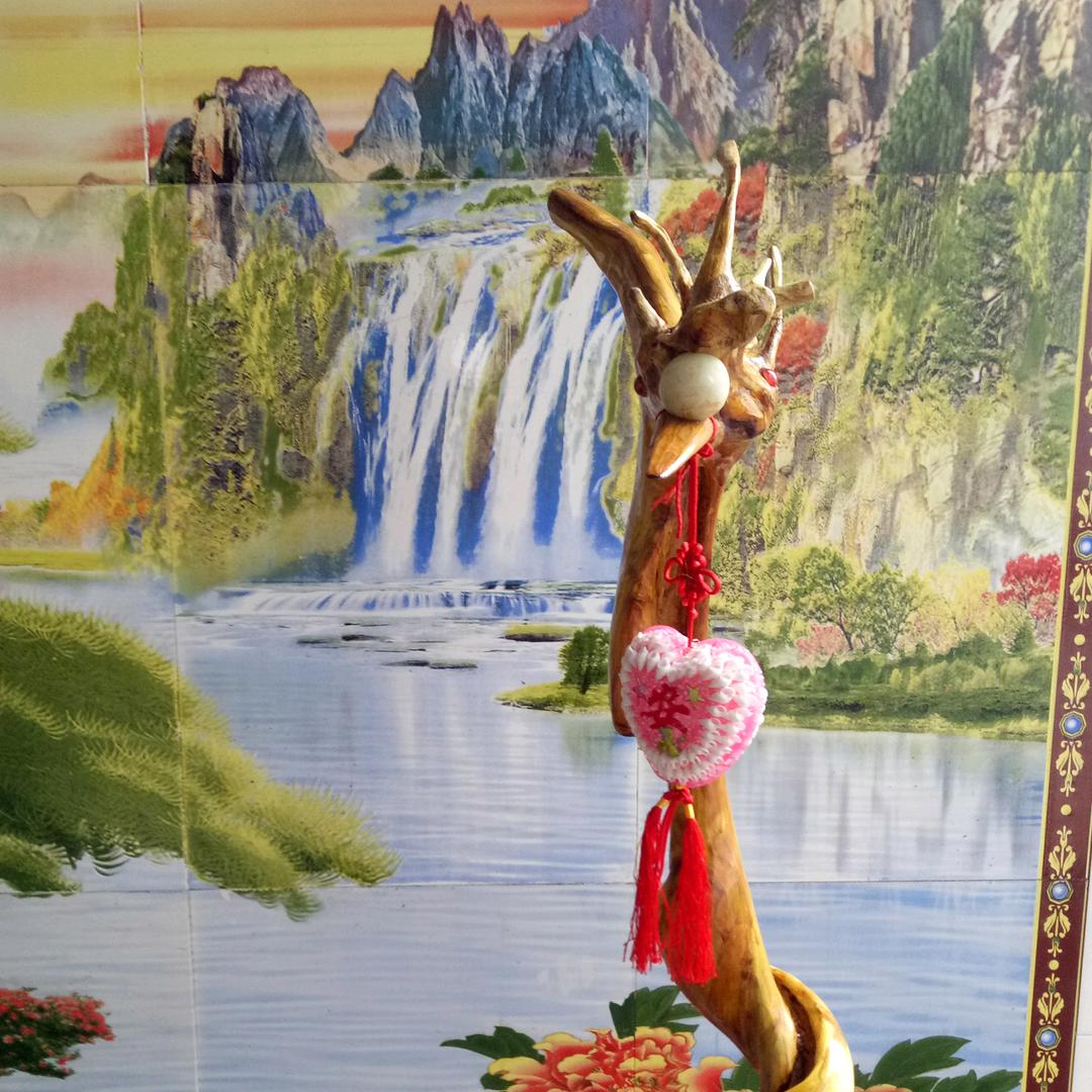 花开富贵好运来