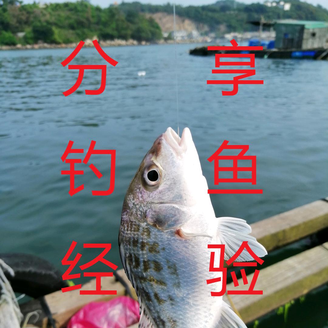 闻歌随缘