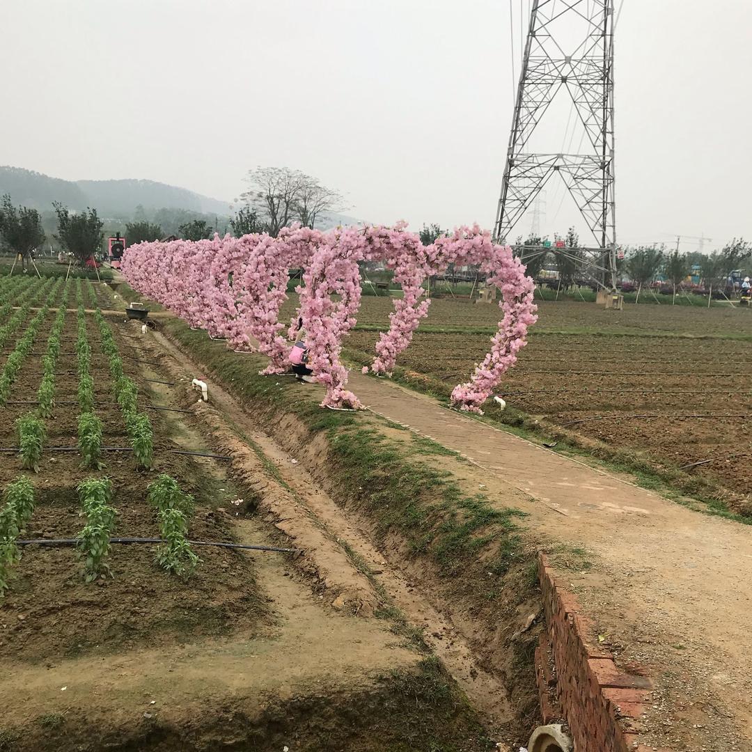 🌈 过好每一天