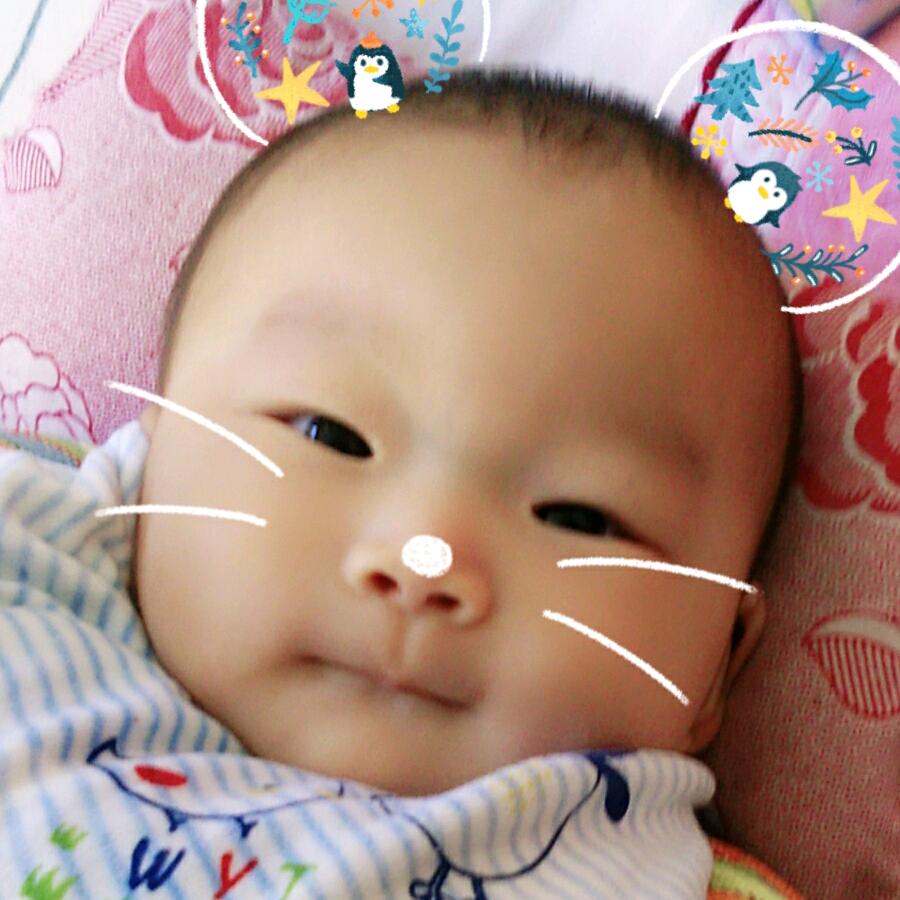 妙理传梦