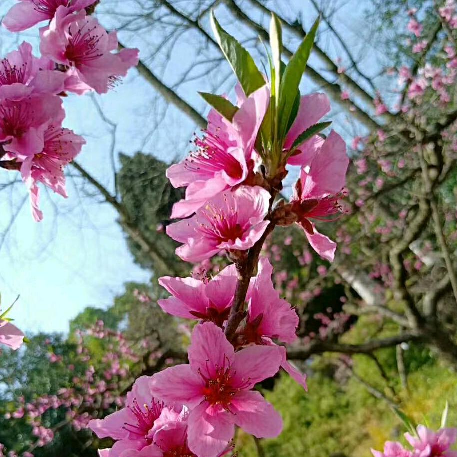 ❤️平安快乐❤️