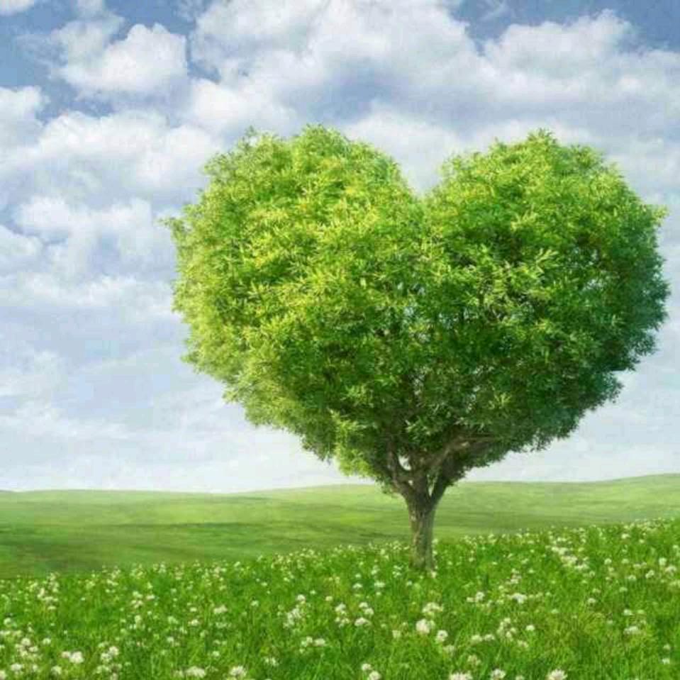 @娜么平凡(建业家电海尔)