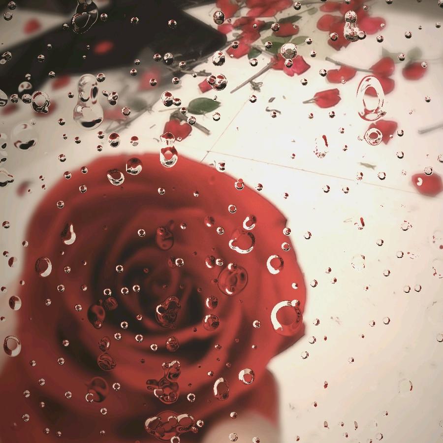 呵呵呵只想静静