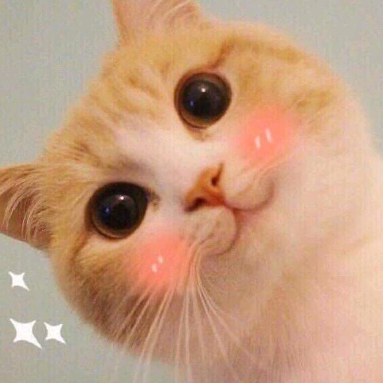 不需要理由