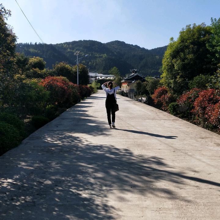 杨家二小姐