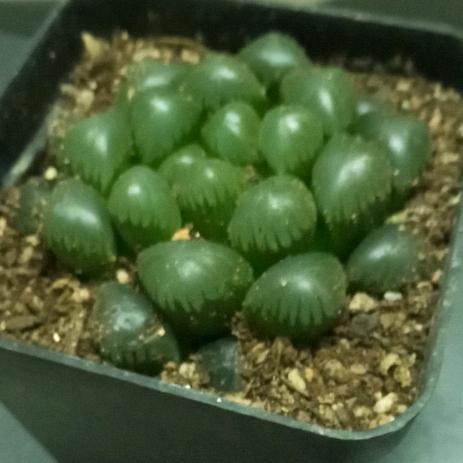 美好向往