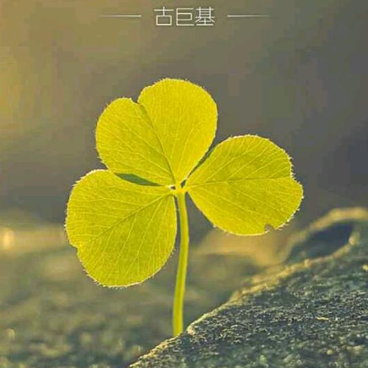 黄姐