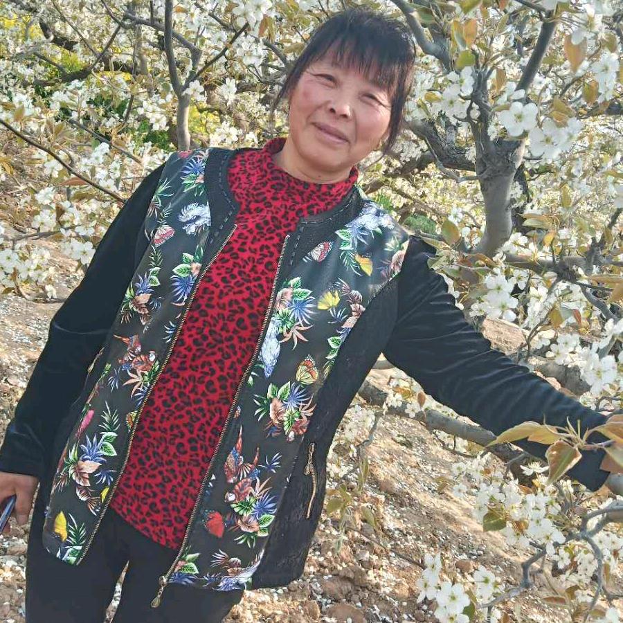 wly 王大姐