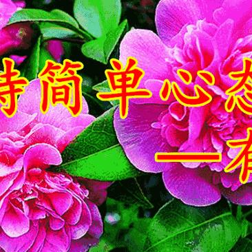 我是一个失去记忆雄