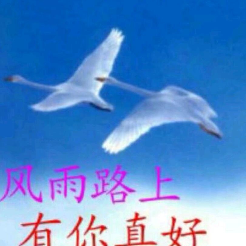 风雨路上有你真好