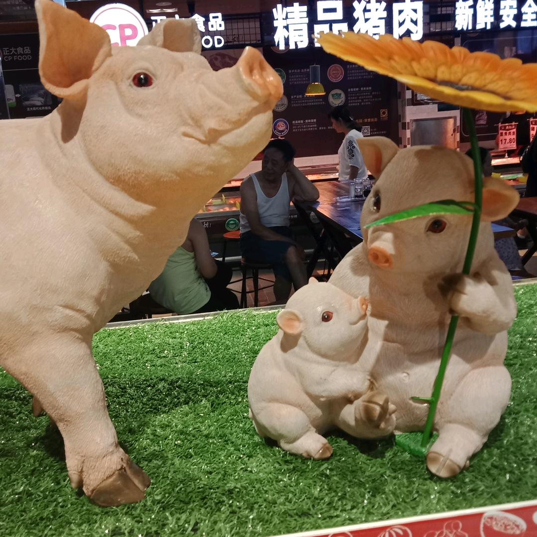 襄阳废品回收站用户559415