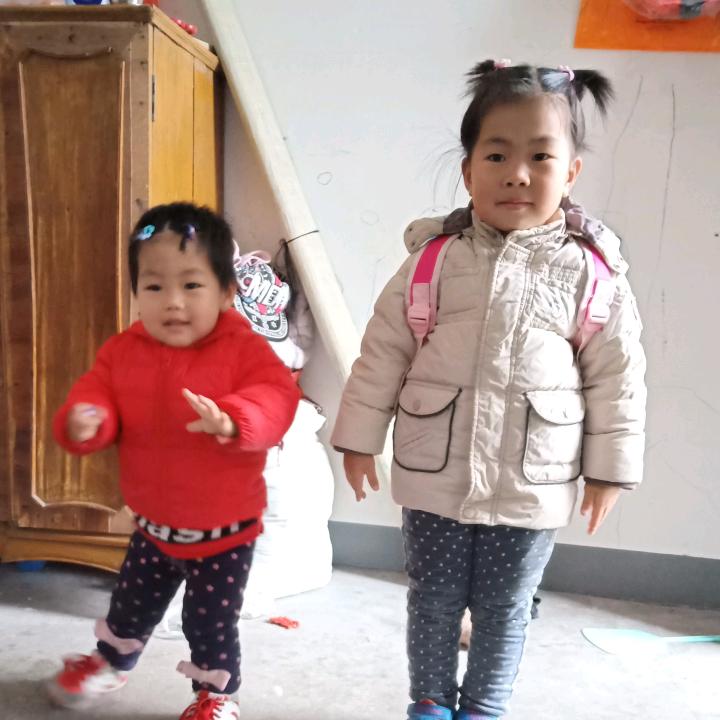 地瓜