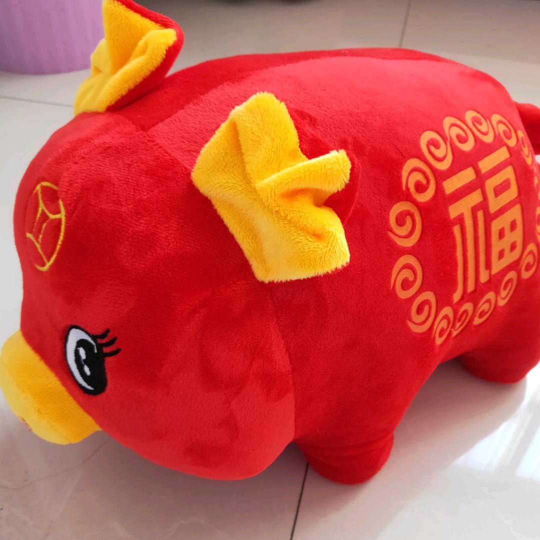 小鱼