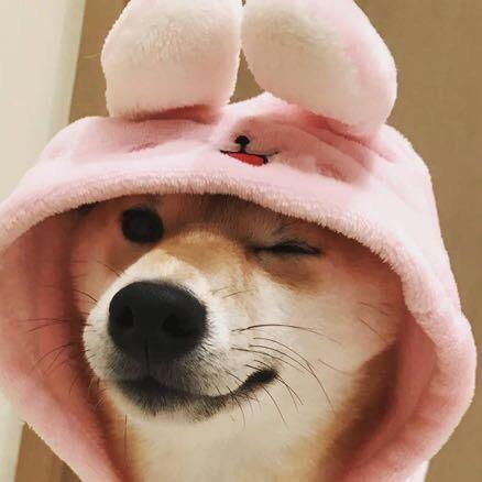只想开心快乐