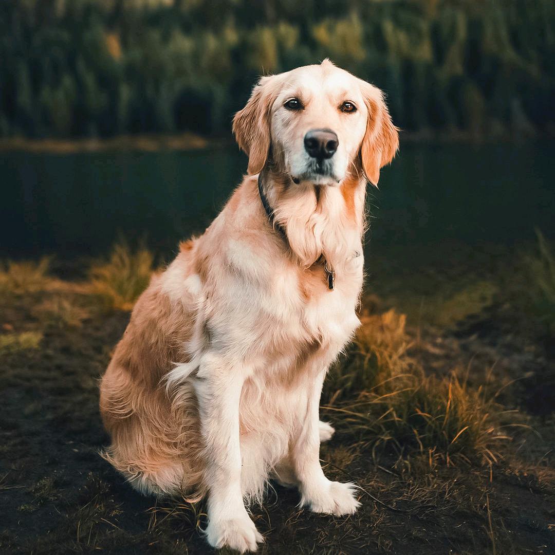 随缘而来，随心而到。