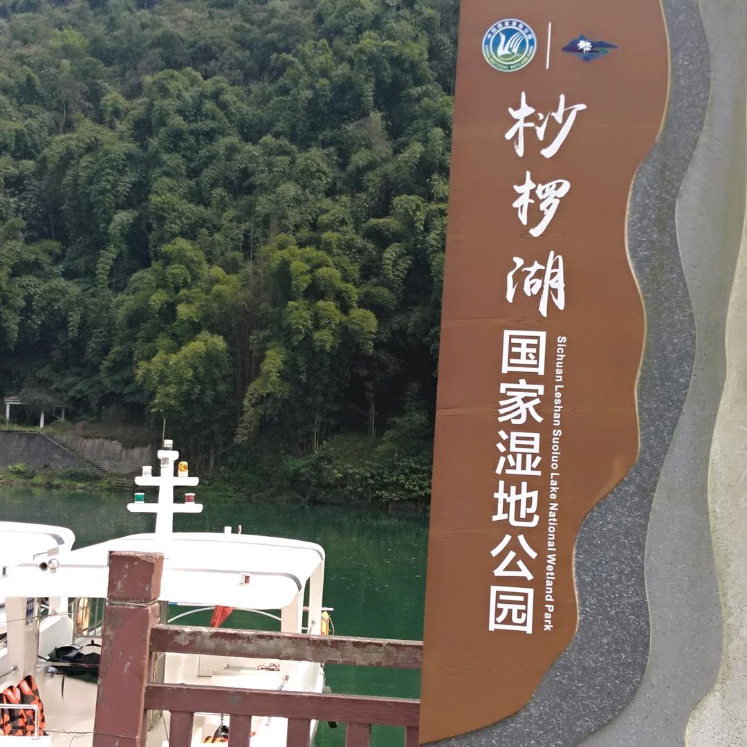 |五哥