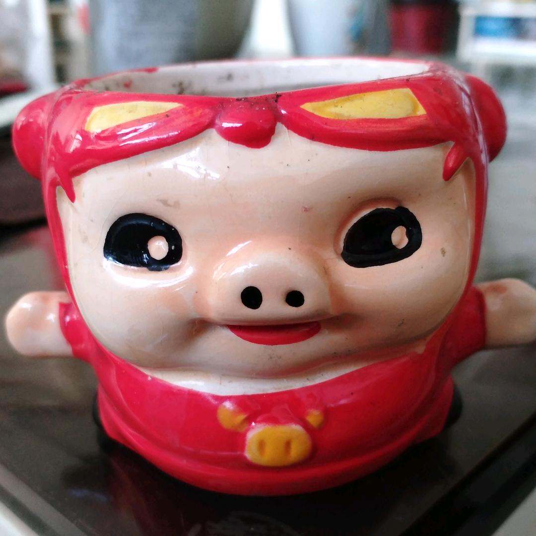 彩蝶