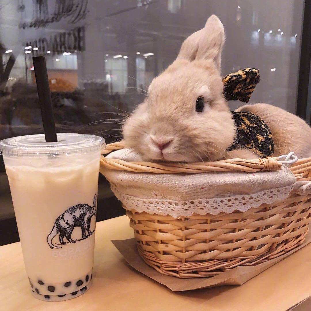 小七喜