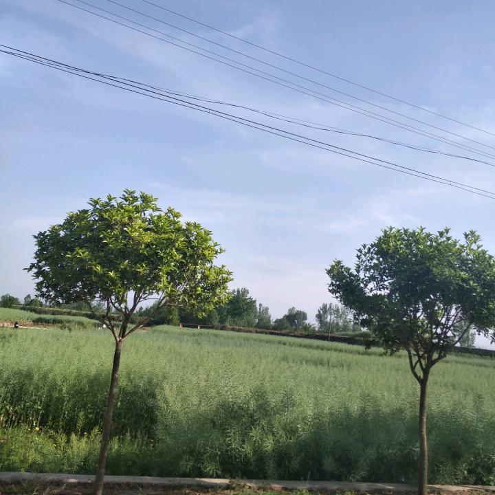 奋斗