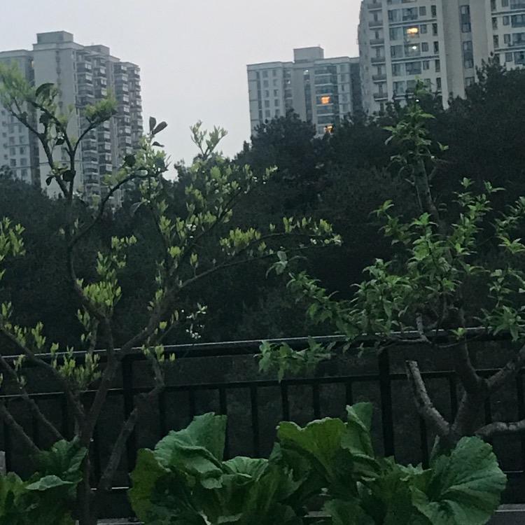 明天更美好