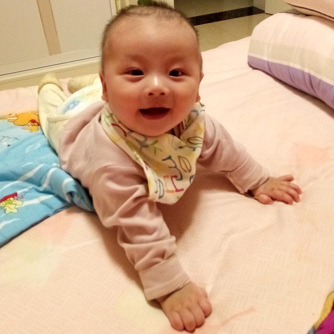 皮皮狗