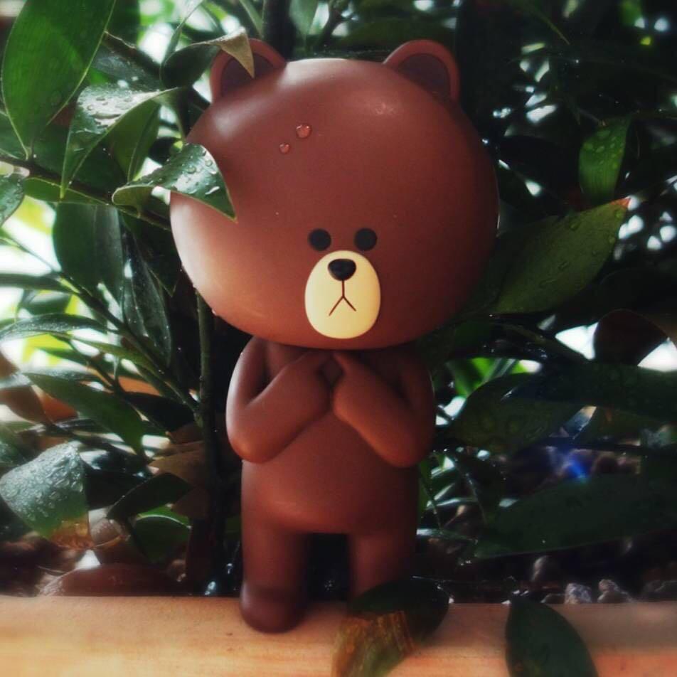 娃娃君