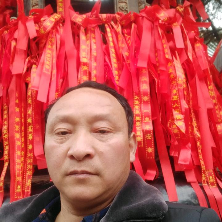 汝州指哨哥