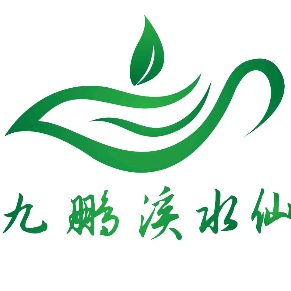 九鹏溪水仙茶，乌龙茶的“千金”