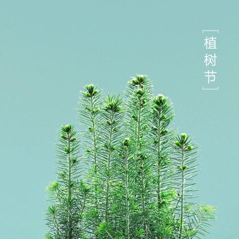520