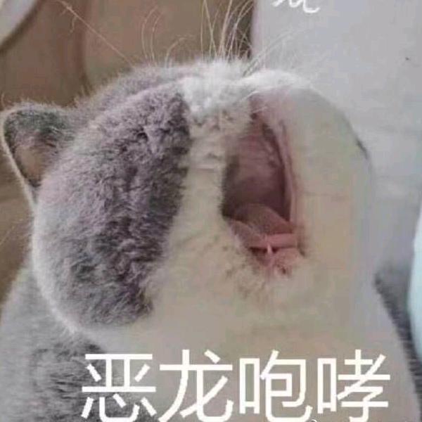 快来抱宇宇