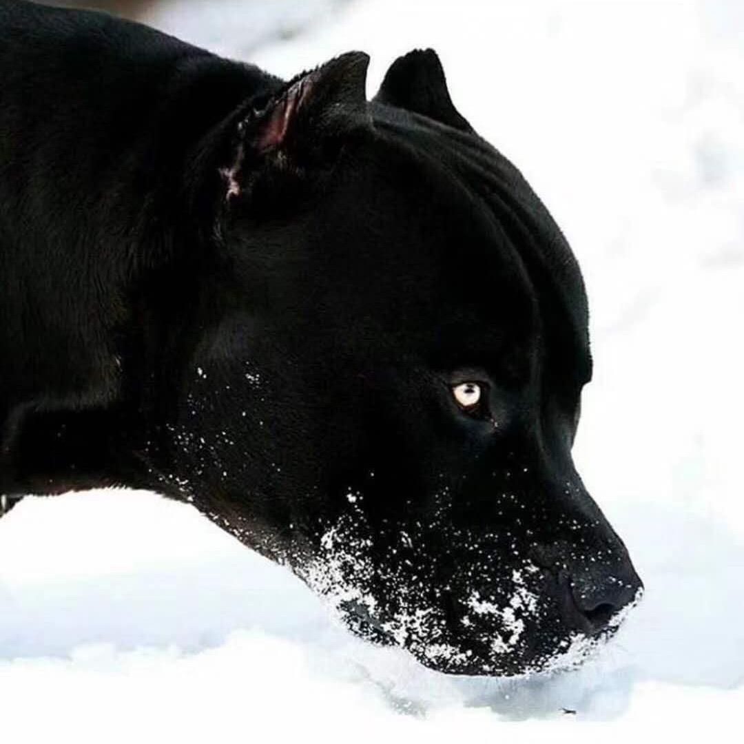 鼎达特种养殖基地@抖音