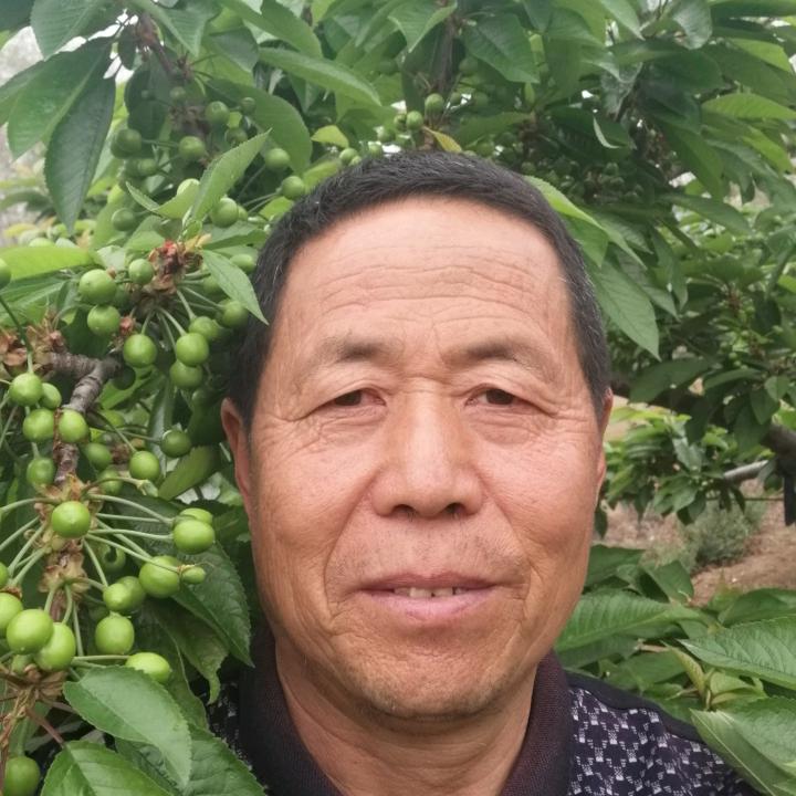 武安市保莲种植园