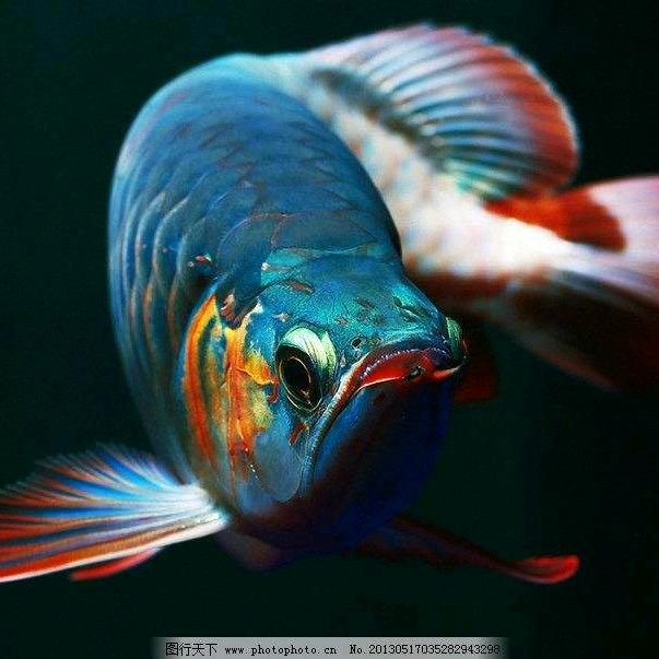 东海龙宫水族用品