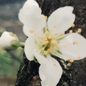 美丽的我