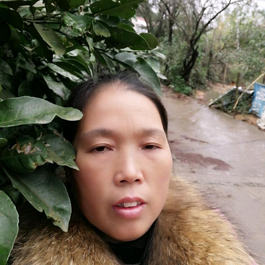 红片子李老板