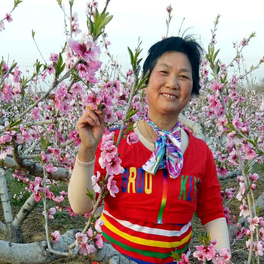 十字李老师