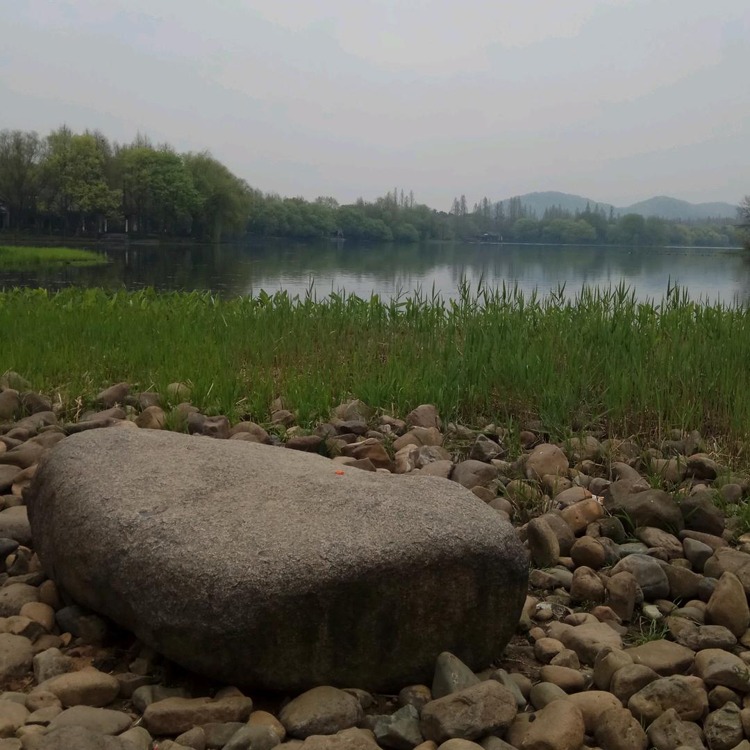 西湖的水