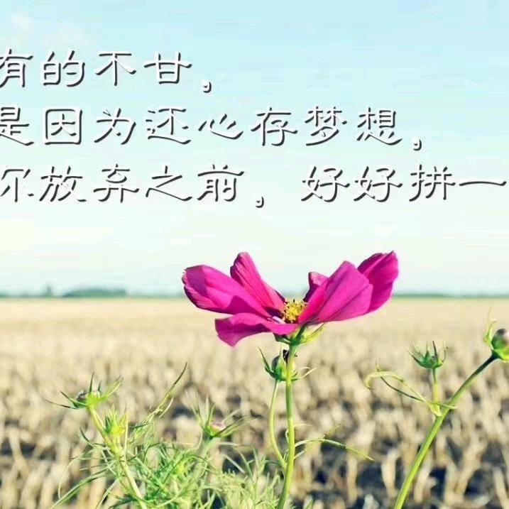 💕 ❧⁵²⁰不许胡闹🕊꧔ꦿ᭄?