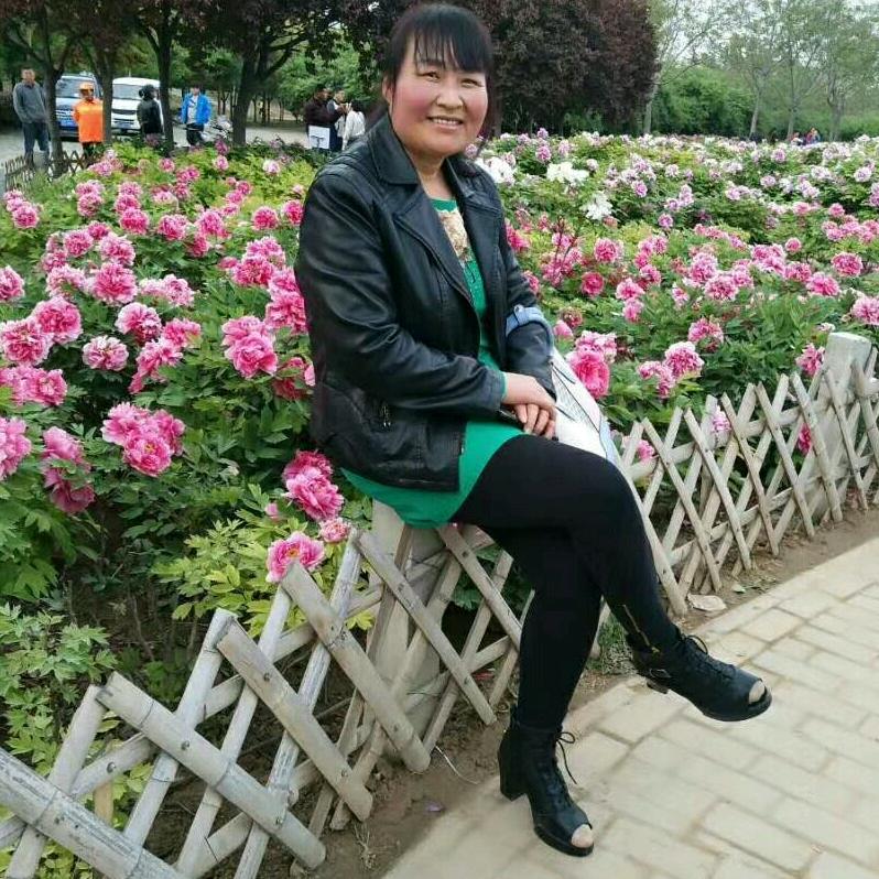 小妮子