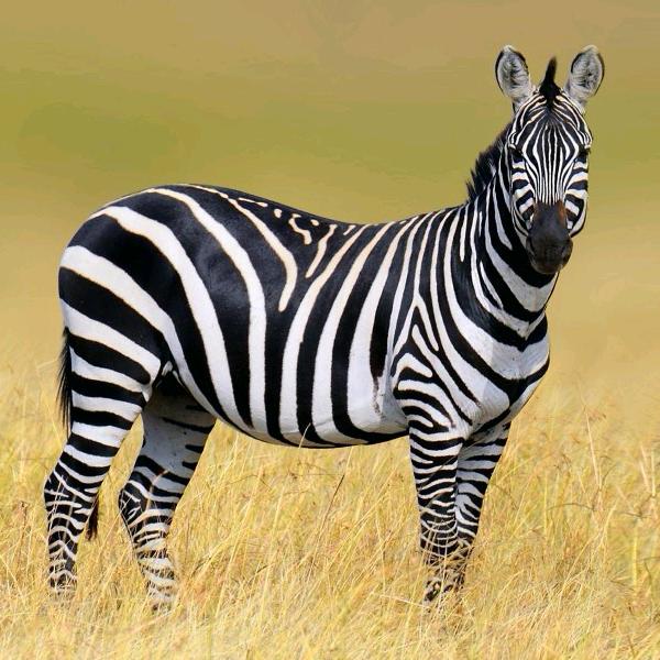 两万光年的距离