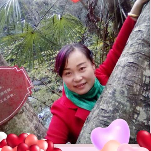 寒冬暖阳🌞🌞