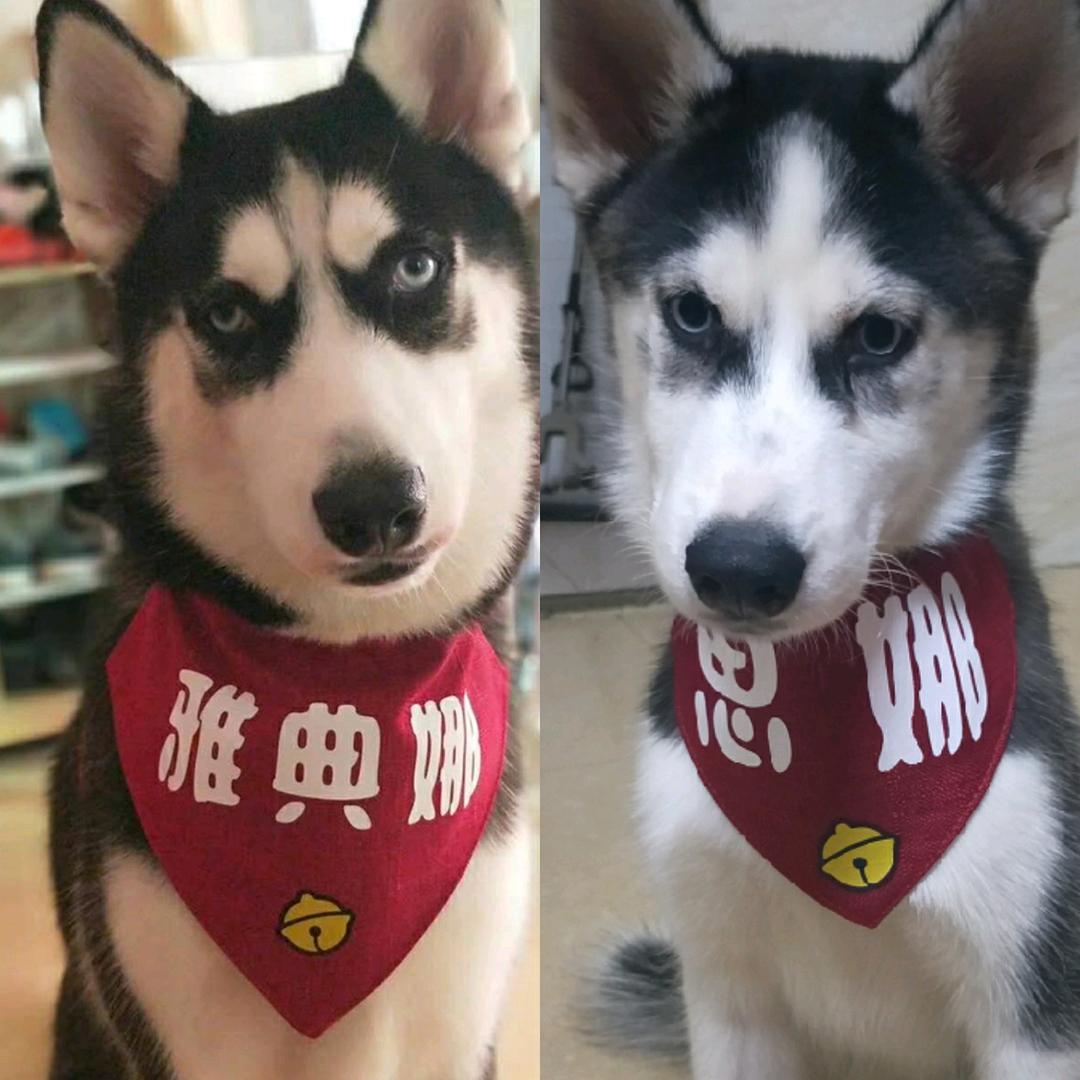 忆雅思娜💕