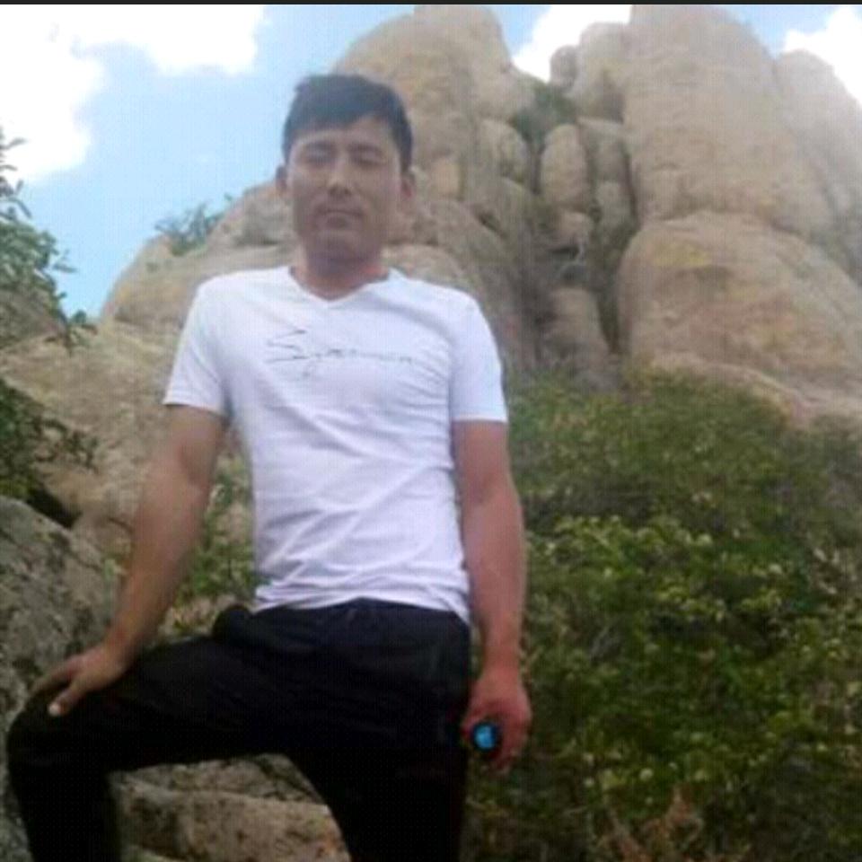 大王让我来巡山
