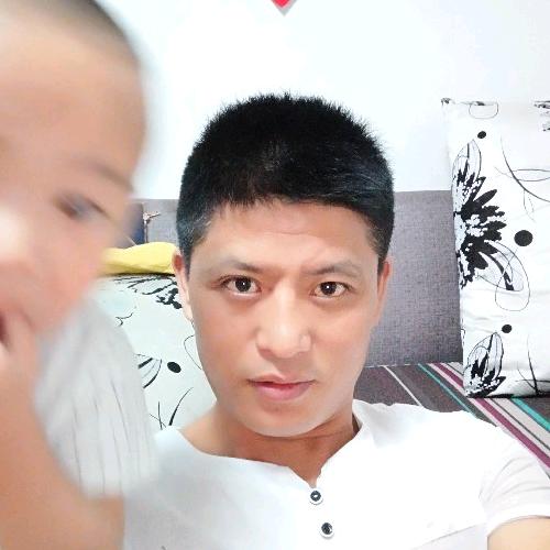 清晨鸟语