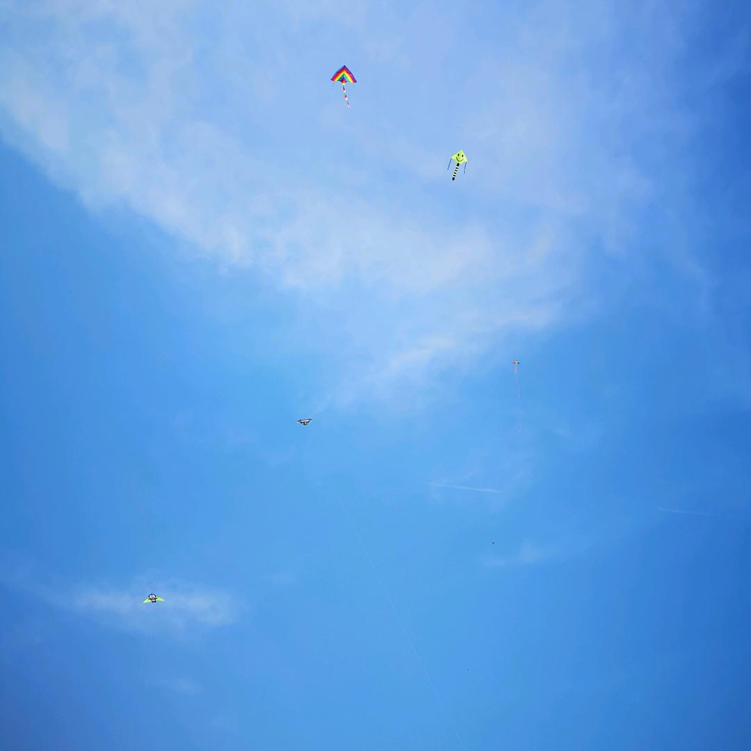 珂阿